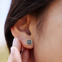 Harry Potter™ Mixed Stud Pack