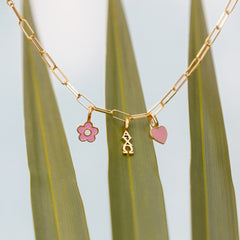 Alpha Chi Omega Collection